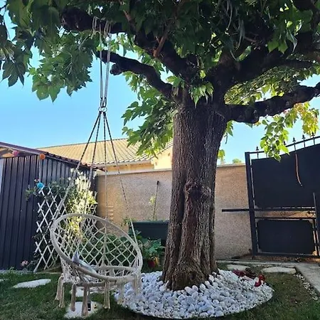 Apartment Maison Avec Jardin Proche Gare